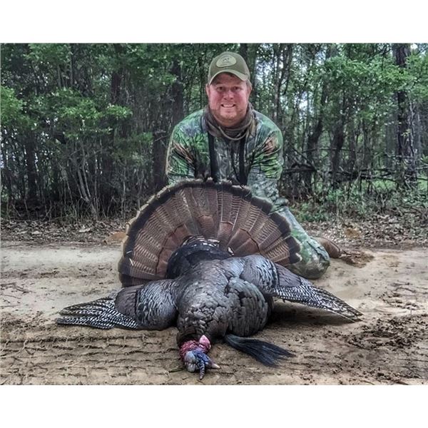 Two-Day Youth Turkey Hunt in Georgia for One Hunter with Blake Rice of TSS Shot and Sweetwater Calls