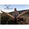 Image 1 : Three-Day Beceite Ibex Hunt in Spain for Two Hunters