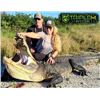 Image 1 : Trophy Alligator Hunt in Florida