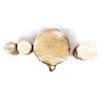 Image 9 : 4 Tarahumara Log and Hide Drums