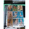 Image 1 : Pinup Girl Trading Cards Cat A