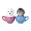 Image 1 : MALTESE PUPPIES SP SET