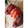Image 4 : 3 Gas Cans