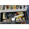 Image 3 : Plastic Tackle Box with Hooks and Misc