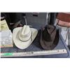 Image 4 : Cowboy Hats Texas Mickey (Empty) Misc Items