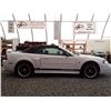 Image 11 : H6B --  2002 FORD MUSTANG CONVERTIBLE , White , 106780  KM's
