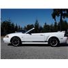 Image 7 : H6B --  2002 FORD MUSTANG CONVERTIBLE , White , 106780  KM's
