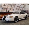 Image 8 : H6B --  2002 FORD MUSTANG CONVERTIBLE , White , 106780  KM's