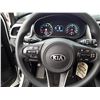Image 34 : C6C --  2017 KIA SORENTO LX AWD , White , 132798  KM's