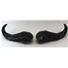 Image 1 : Carved Cape Buffalo Horns