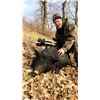Image 3 : Iowa Boar Hunt with North Star Gameland
