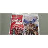 Image 2 : COCA COLA INSULATION/ COOLER BAG 14" X 12"
