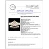 Image 5 : Rolex DateJust Diamond Ladies Watch