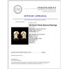 Image 3 : 14K Gold 0.18ctw Diamond Earrings