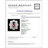 Image 4 : 18K White Gold 8.62ct Tourmaline & 4.56ctw Diamond
