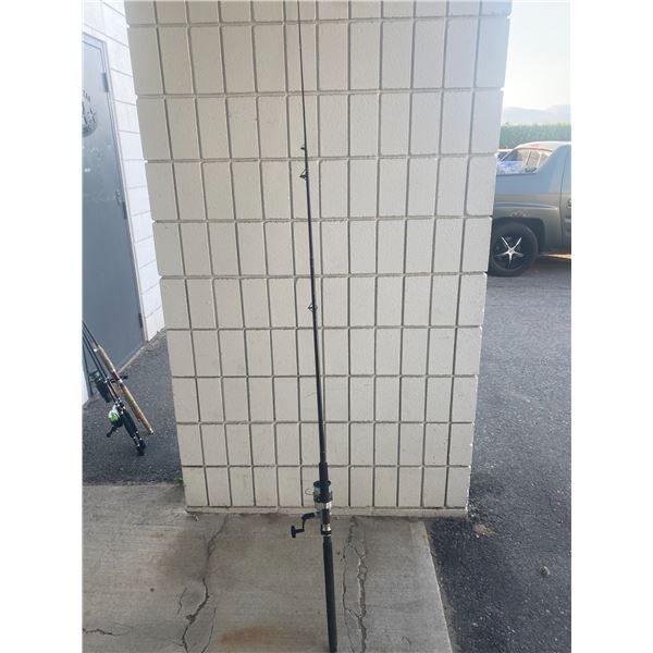 Fishing rod and reel