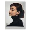 Image 1 : Steve Kaufman (1960-2010) "Audrey Hapburn" Hand Signed and Numbered Limited Edition Hand Pulled silk