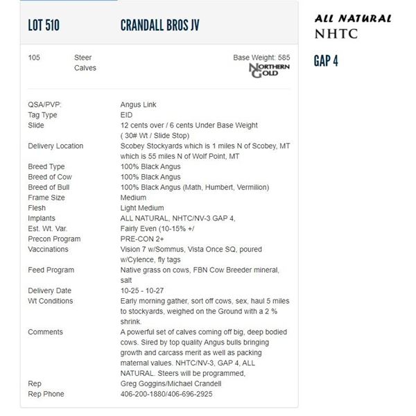 Crandall Bros JV - 105 Steers; Base Weight: 585
