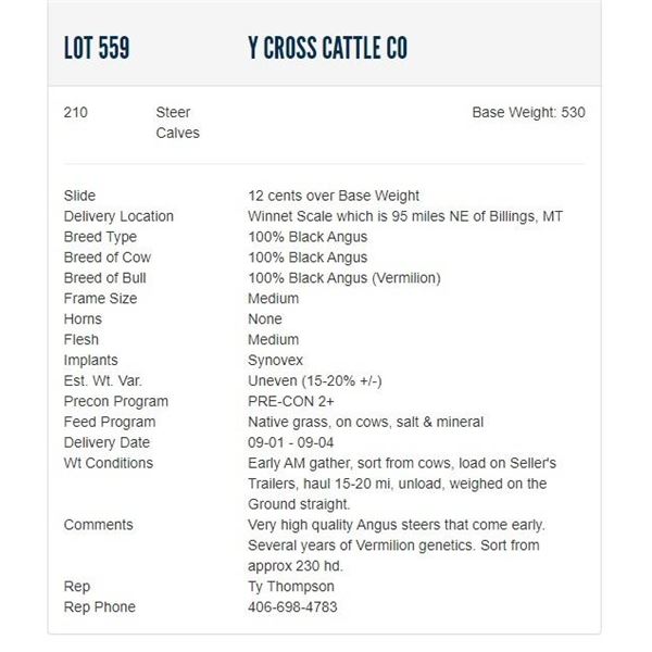 Y Cross Cattle Co - 210 Steers; Base Weight: 560