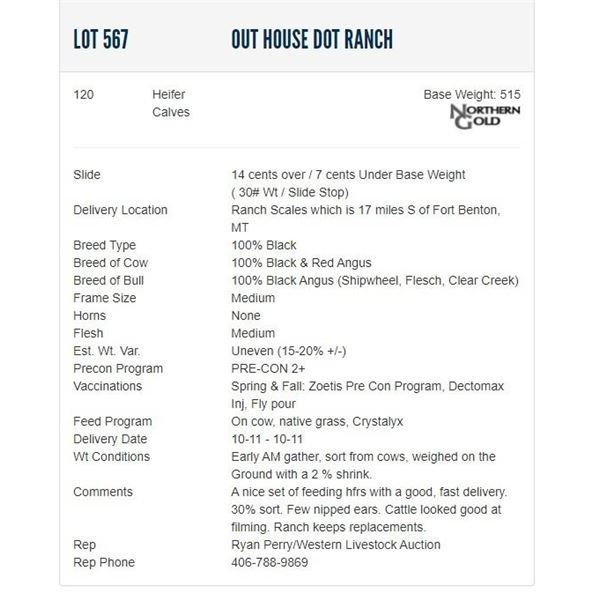 Out House Dot Ranch - 120 Heifers; Base Weight: 515