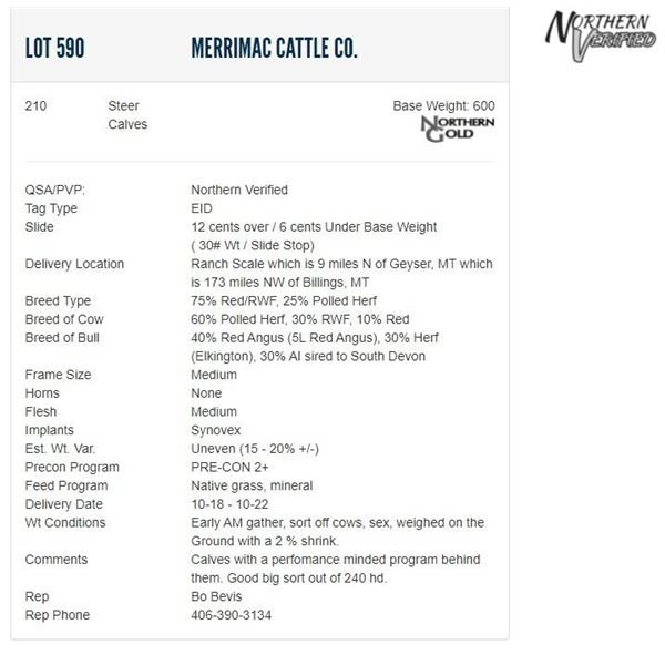 Merrimac Cattle Co. - 210 Steers; Base Weight: 600