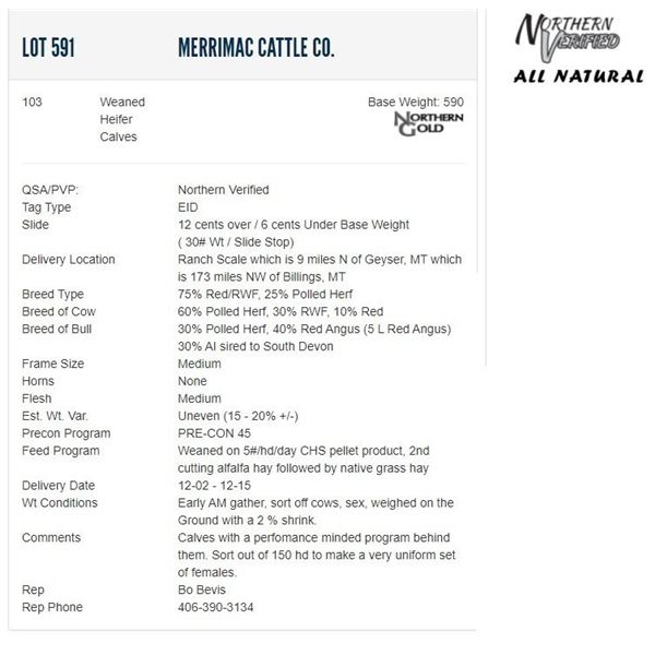 Merrimac Cattle Co. - 103 Weaned Heifers; Base Weight: 590