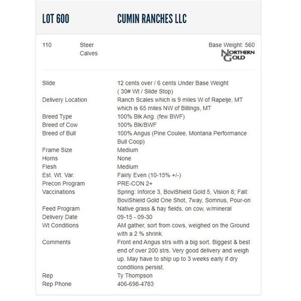 Cumin Ranches LLC - 110 Steers; Base Weight: 560