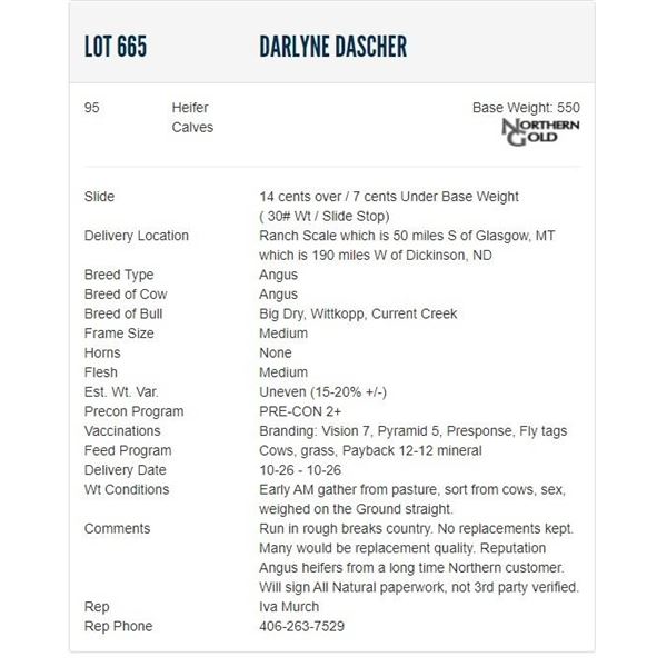 Darlyne Dascher - 95 Heifers; Base Weight: 550