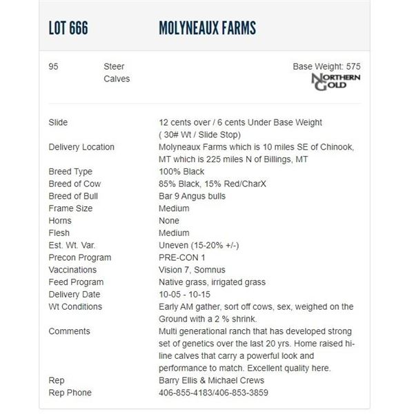 Molyneaux Farms - 95 Steers; Base Weight: 575