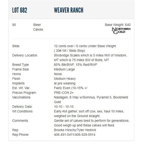 Weaver Ranch - 95 Steers; Base Weight: 640