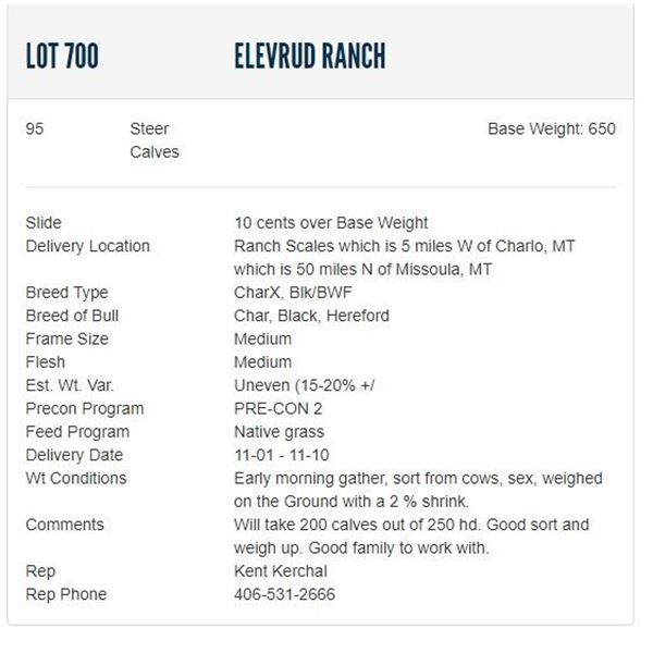 Elevrud Ranch - 95 Steers; Base Weight: 650