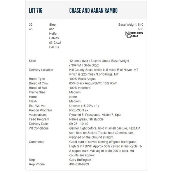 Chase and Aaran Rambo - 32/45 Steers/Heifers; Base Weight: 610/565