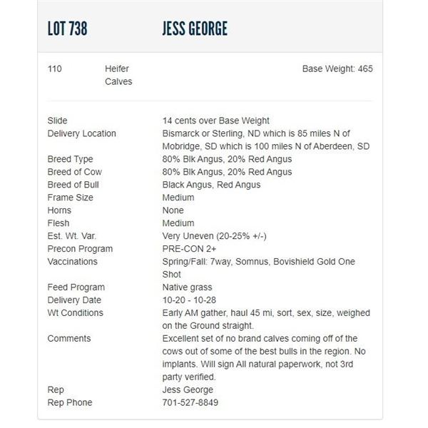 Jess George - 110 Heifers; Base Weight: 465