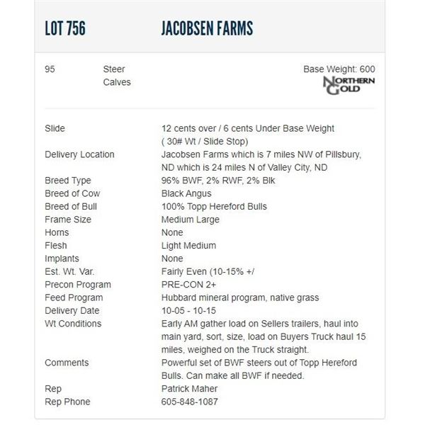 Jacobsen Farms - 95 Steers; Base Weight: 600