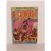 Image 1 : Conan