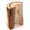Image 1 : Mastodon Tusk Section  [135003]