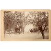 Image 1 : Cloverdale, California Cabinet Card  [135878]