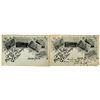 Image 1 : New Mexico Pioneer Postcard Duo, 1899  [138968]