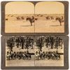 Image 1 : Arizona Cowboys Stereoview Pair  [134185]