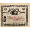 Image 1 : Montana Gold and Silver Mining Company Stock  [135803]