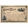 Image 1 : Tombstone Mill and Mining Co. Stock, Yellow  [135798]