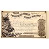 Image 1 : Tuolumne County Water Company Stock  [135788]