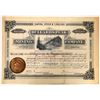 Image 1 : Bullard's Peak Mining Company of New Mexico Stock Certificate  [135877]