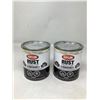 Image 1 : Krylon Rust Protector Gloss Ivory (2 X 946ML)