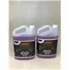 Image 1 : Premium Windshield Wash All Season Up To -45 (2 X 3.78L)