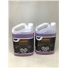 Image 1 : Premium Windshield Wash All Season Up To -45 (2 X 3.78L)