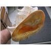 Image 2 : CONCH SHELL