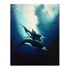 Image 1 : Wyland "Orca Trio" Limited Edition Cibachrome on Board