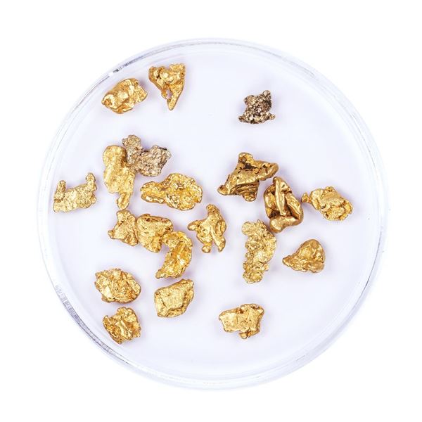 Lot of Gold Nuggets 4.33 Grams Total Weight