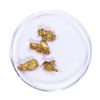 Image 1 : Lot of Gold Nuggets 1.86 Grams Total Weight